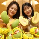 그린반찬 이미지