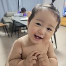 디유팔