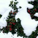 함평자연생태공원 이미지