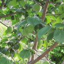 현종농장 이미지