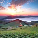 멍에목장 이미지