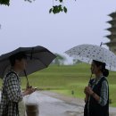 (주)미학인우주선 티스토리