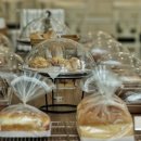 토리스토리 이미지