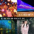우림DC | 강릉 실내 놀거리 데이트하기에 이만한 곳 없다 내돈내산 아르떼뮤지엄 할인 티켓 꿀팁