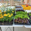 천안늘해랑학교 이미지