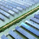 물고기태양광발전소 이미지