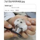 그냥 전손 처리하세요. 이미지