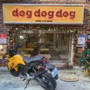 도그도그 이미지