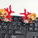 도서관에서 함께 춤을 이미지