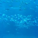 경희사랑나무한의원 이미지