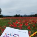 2026 자라섬 꽃 페스타 후기, Colorful Garden으로 물든 가평 꽃축제