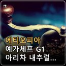 에티오피아 예가체프 G1 아리차 내추럴 커피원두, 산지부터 향미와 로스팅까지 이미지
