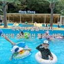일랑일랑 | 아이랑 충남 서산 계곡물놀이! 평상+백숙+수영장까지 풀세트 [서울가든/일랑일랑 후기]