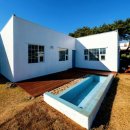 야자수 펜션 민박 이미지