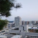 소담공인중개사사무소 이미지