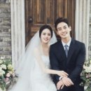 제제컴퍼니 네이버블로그