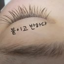 붙이고 반하다