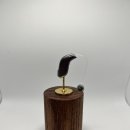 한미보청기 이미지