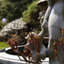 삼풍가든 이미지