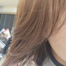 김해 내외동 미용실 ┃ 제이온헤어 온 원장 2026 여름 염색 후기