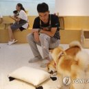 CATS TIME CAFE 이미지