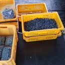 영은건강센타 이미지