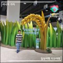 수원 아이랑 갈만한 곳! 국립농업박물관 어린이박물관 예약방법 &amp; 주차 &amp; 8살 후기