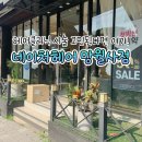 의정부미용실 추천 | 손상모 헤어클리닉 받은 네이처헤어 망월사점 후기