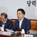 김기현 카카오 검색결과