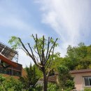 순창여자중학교 이미지