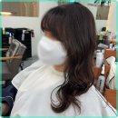 어반케어 이미지