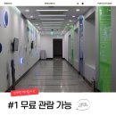 하단동1153 이미지