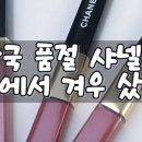 비쥬뷰티 - 구미시 | 샤넬 신상 듀오립 무브, 댄스 & 루쥬 코코 글로스 비쥬 발색 후기