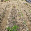 도희농장 이미지