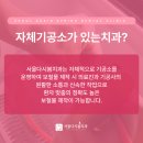 봄 치과기공소 이미지