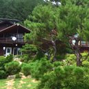 양지골 민박 이미지