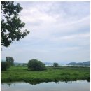 열린행정사사무소 이미지