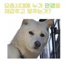 용인이마트 이미지