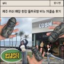 제주도 러쉬에서만 파는 돌하르방 비누 차콜솝 사용, 선물 후기