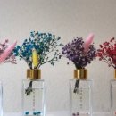 뜰위에농장 이미지