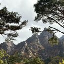 설악동 C1 주차장 이미지