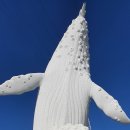 장생포고래박물관 이미지