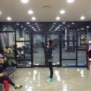 크로스핏 핏불 이미지