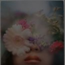 북촌 방향 | 봄비 내리는 날에도 아름다운 서울 명륜3가 성균관대(Sungkyunkwan University) 은행나무길 카페 5선