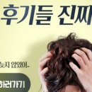 더마리 이미지