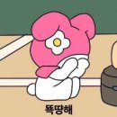 파리바케트 이미지