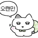 피티스튜디오펄스 이미지