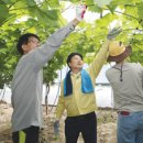 이병환 농장 네이버블로그