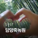 군민운수 | 전남 담양 당일치기 여행 가볼 만한 죽녹원 코스