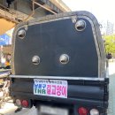 남동구 TNR 후기 인간과의 공존을 위한 티앤알